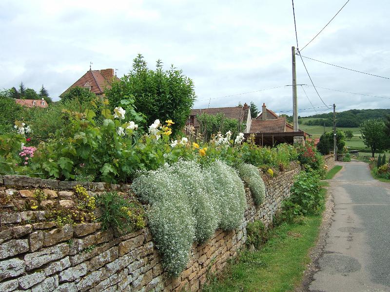 2010-05- (51).JPG